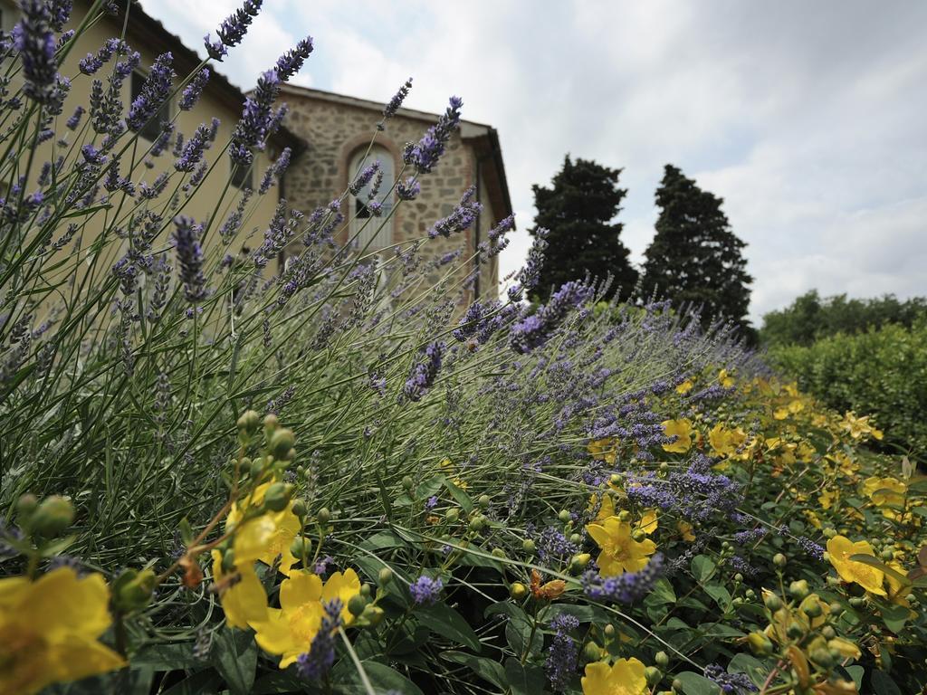 Borgo Casalvento Guest House Cantagrillo Exterior photo